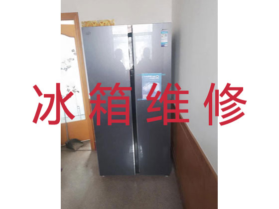 深圳冰箱维修服务